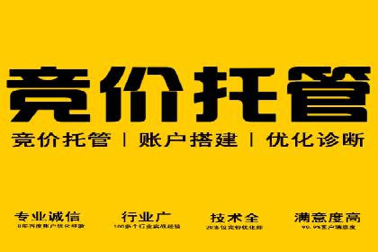 某某sem代运营推广公司：打造品牌营销新模式
